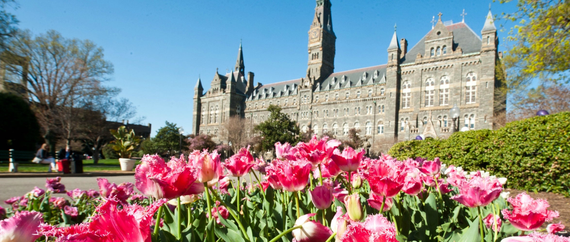 Undergraduate Programs | Department of Biology | Georgetown University