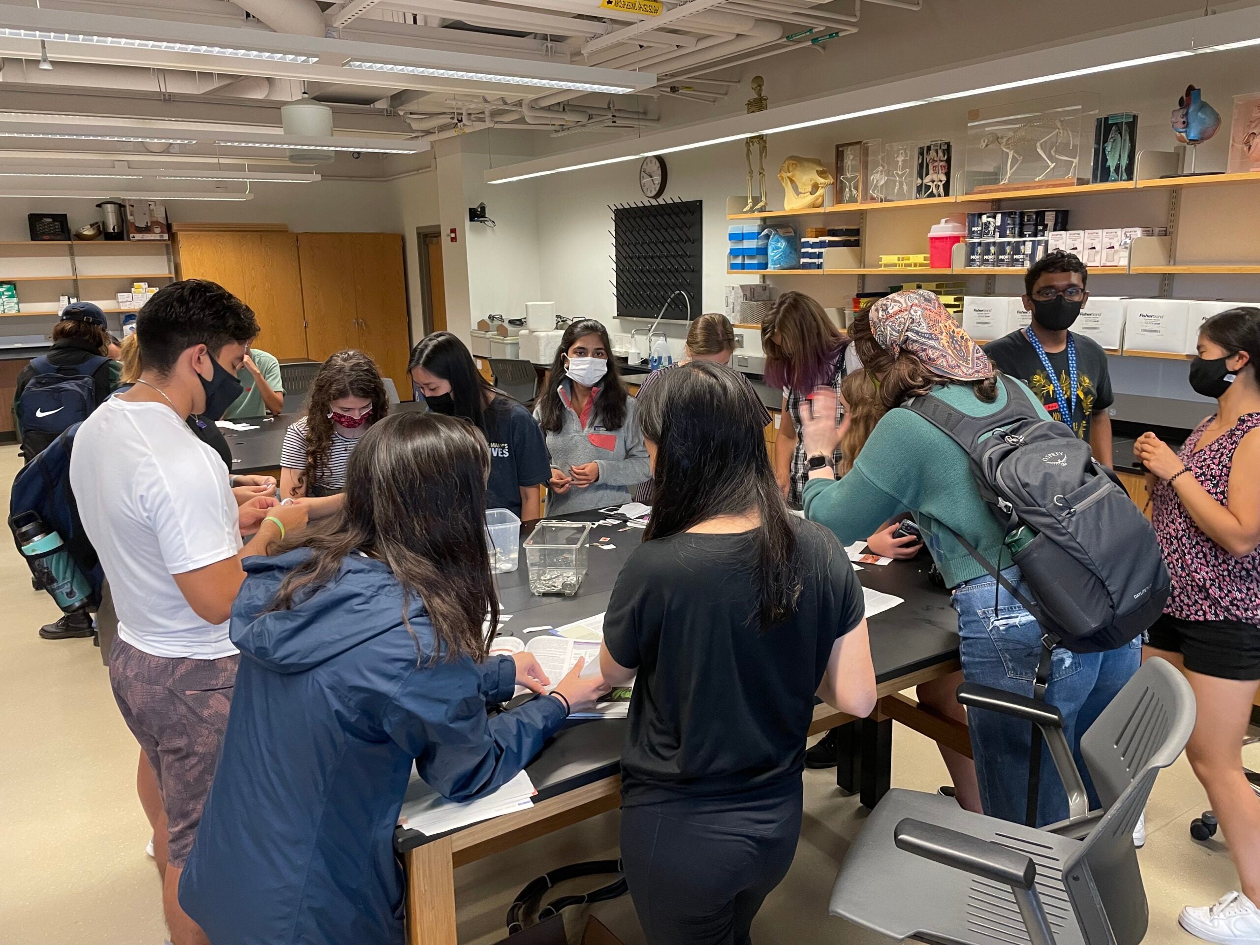 students in a lab