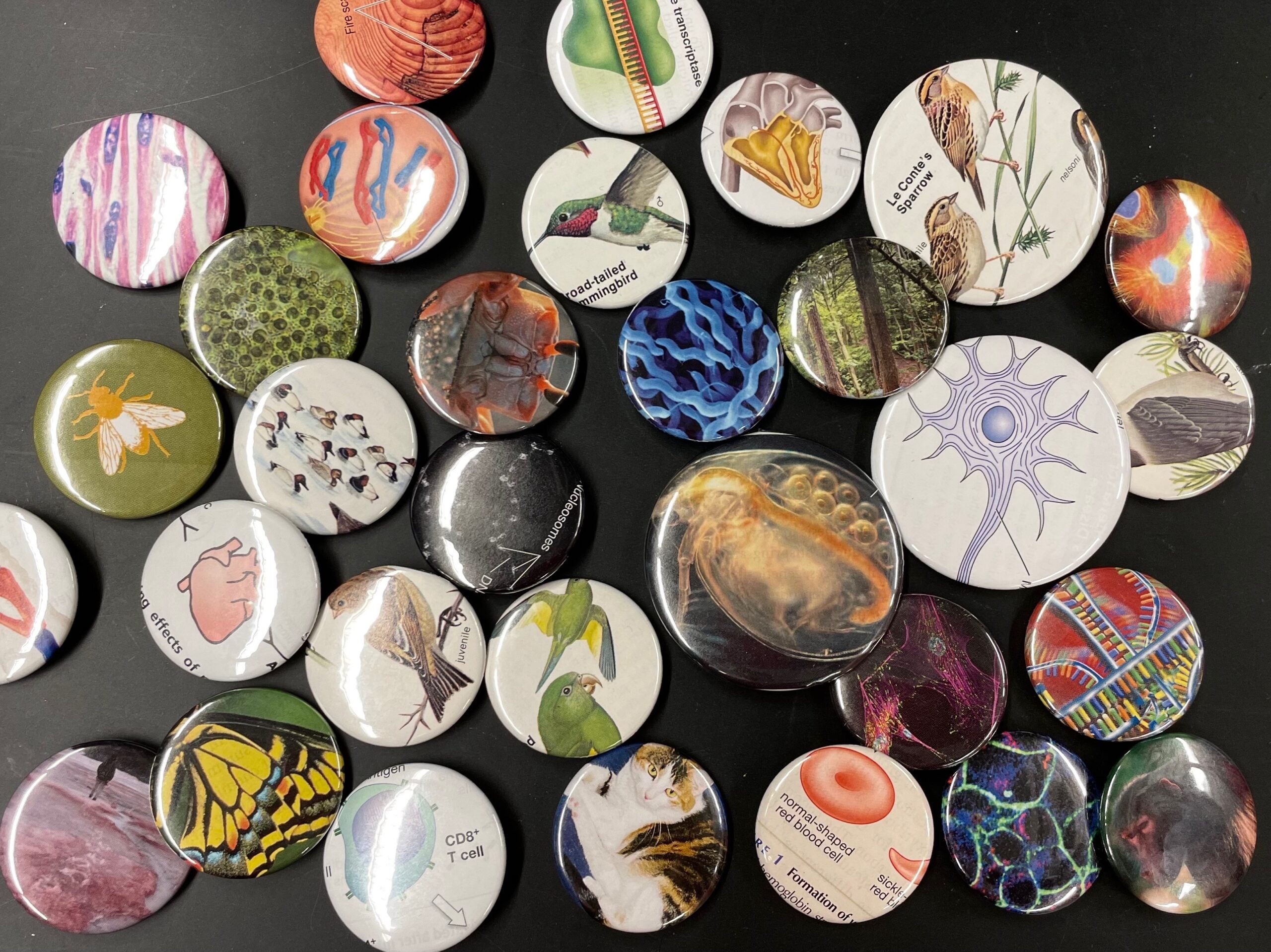 Biology buttons