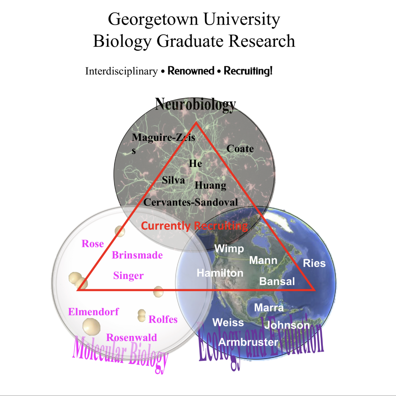 georgetown biology phd acceptance rate